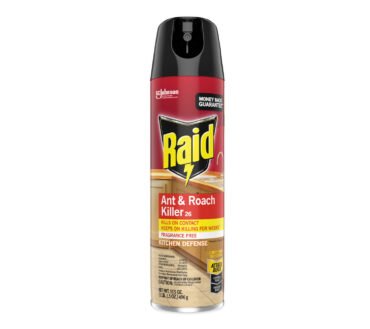 Raid Fragrance Free Ant and Roach Killer, 17.5 oz Aerosol Spray, 12/Carton