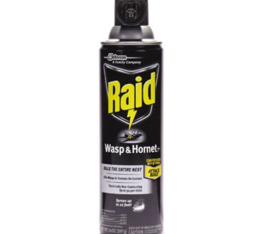 Raid Wasp and Hornet Killer, 14 oz Aerosol Spray, 12/Carton